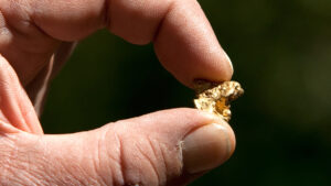 Gold nugget