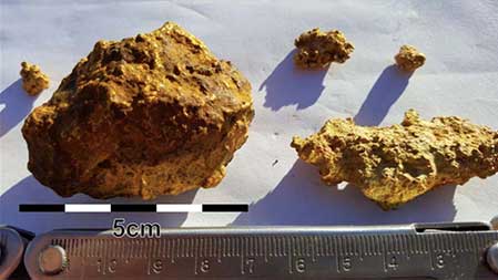 Gold nuggets recovered at Magnetic Resources' Mertondale project.