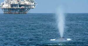 Rare find ... 3D Oil is looking for a partner to help develop Tasmanian gas fields. Pic: Getty
