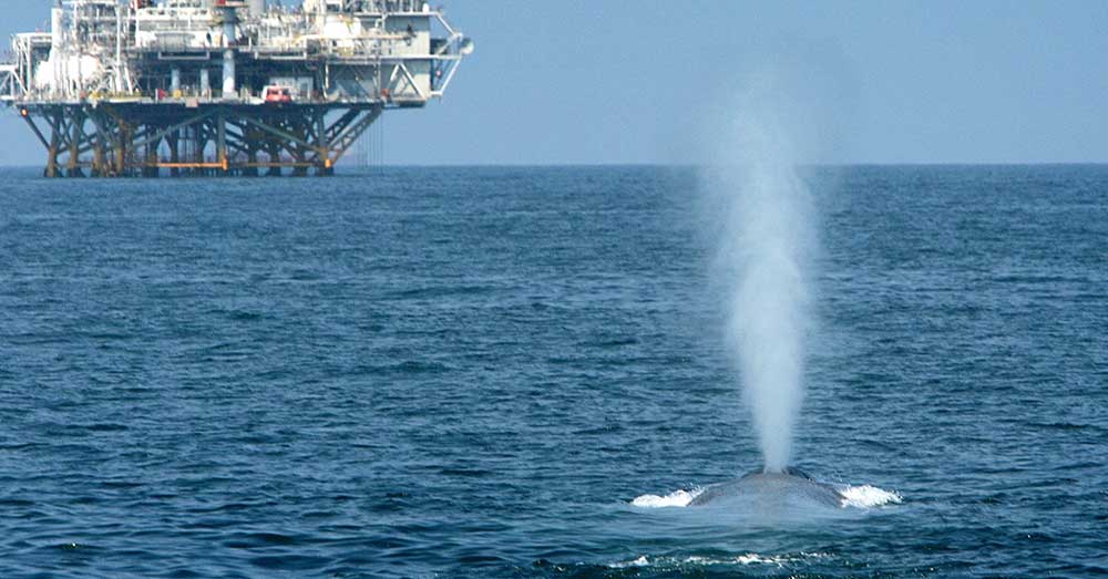 Rare find ... 3D Oil is looking for a partner to help develop Tasmanian gas fields. Pic: Getty