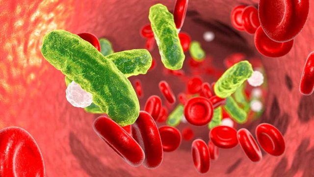 Deadly sepsis bacteria ... blood infections are driving demand for medical safety devices. Picture: Getty