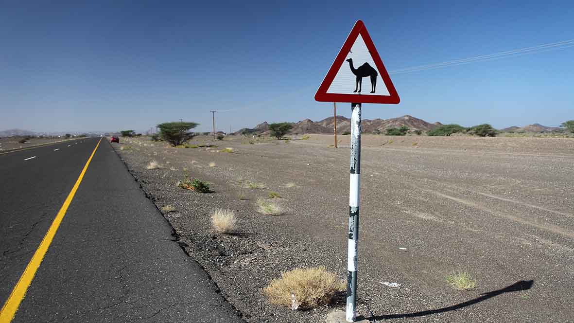 Abu Dhabi's Mubadala has bid for almond grower Select Harvests. Pic: Getty