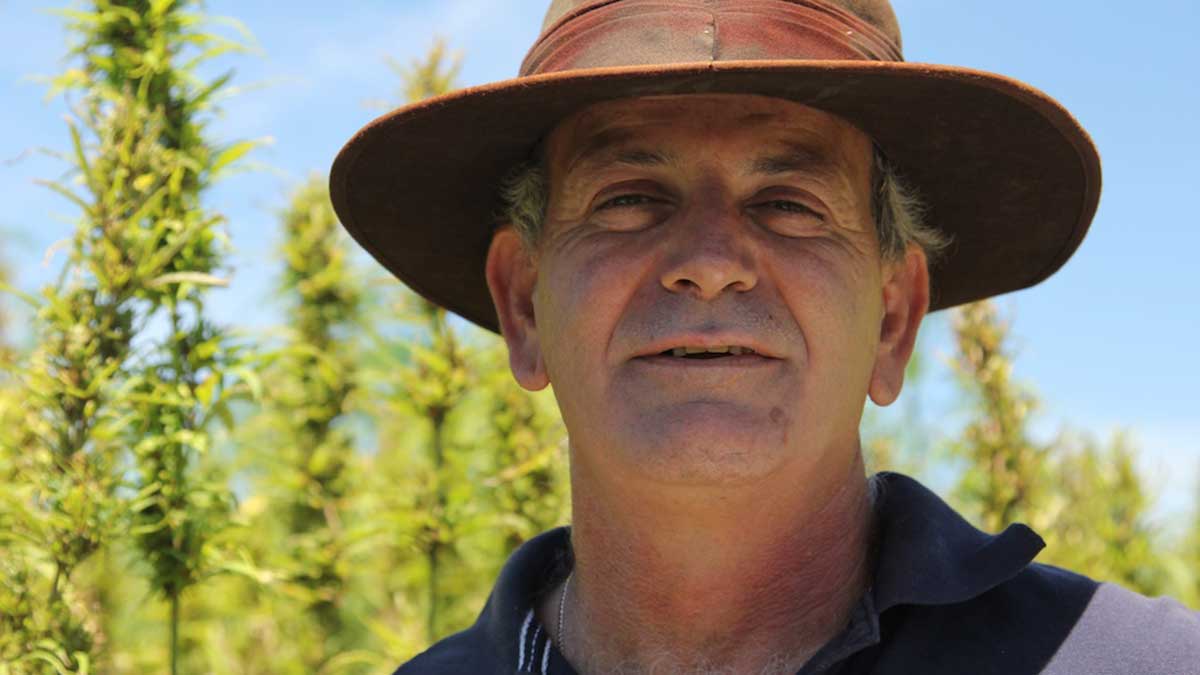 Vitahemp Founder Andrew Kavasilas has been a campaigner for hemp seeds since 1999.