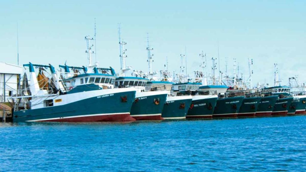 Mareterram own a fleet of 11 vessels. 