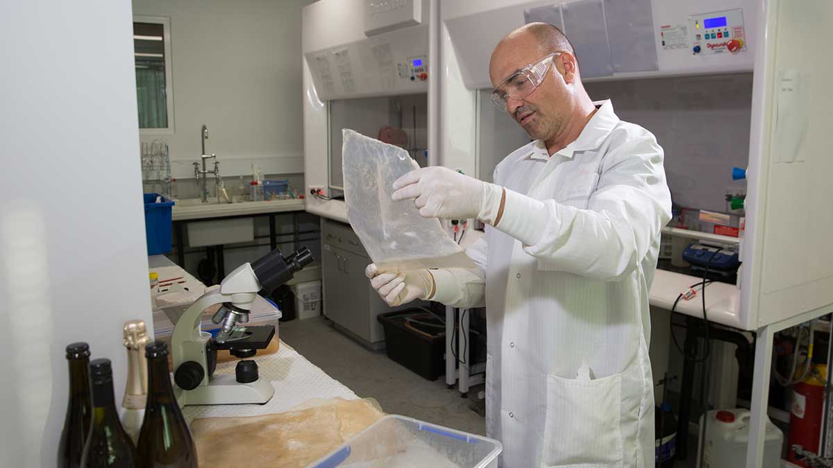 Founder Gary Cass hopes his plant-free fibres will go from the lab to the runway.