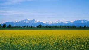 Po Valley up 80pc after striking gas in the Italian countryside