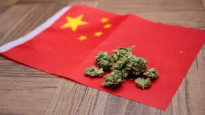 Is The Hydroponics Company going to… China?