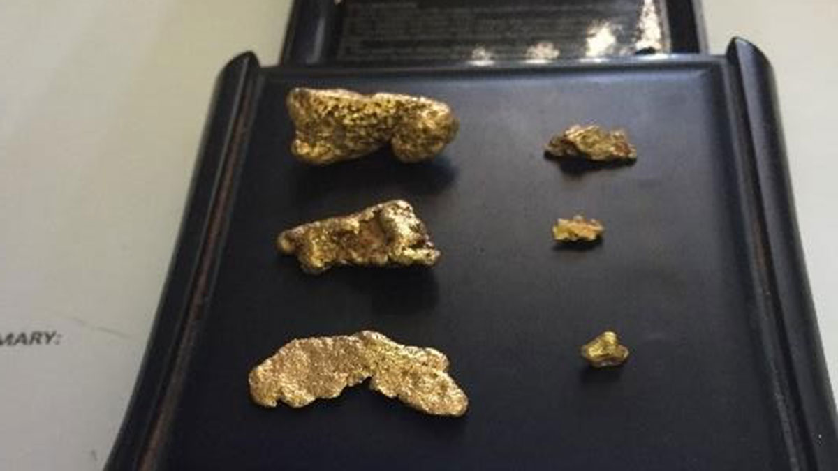 MinRex's latest find of 22.7g. Picture: Supplied.