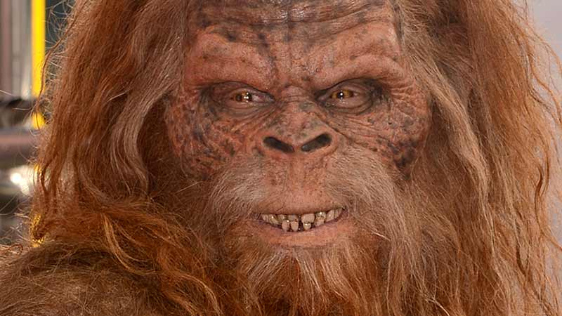 Yowzer ... Aussie chocolate Yowie has reported higher quarterly sales. Pic: Getty