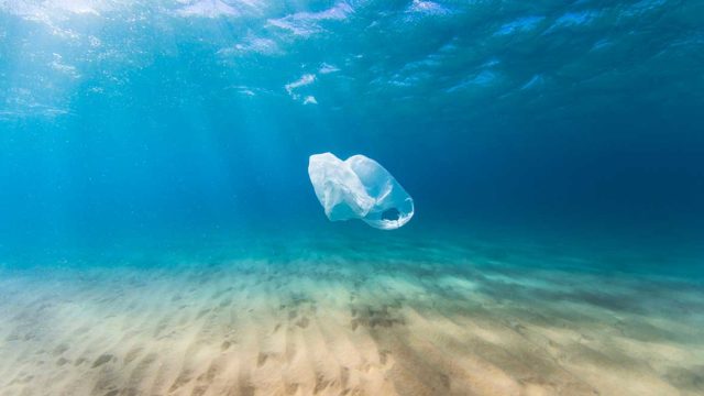 Consumer awareness of the damaging amount of plastic in oceans is one driver for the rise of biomaterials. Pic: Getty