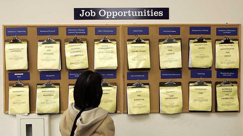 Job opportunities