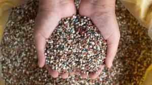 NPK fertiliser contains nitrogen, phosphorus and potassium - the most important nutrients for plants. Pic: Getty