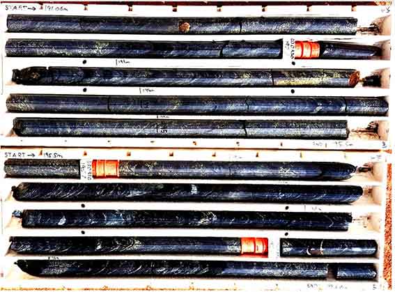 Mineralisation in drill cores from the CB054 hole. Pic: Silver City