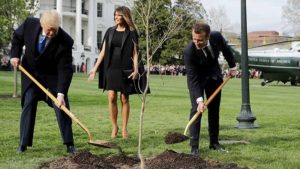 President Trump and President Emmanuel Macron of France plant tree on the South Lawn of the White House this week. Pic: Getty