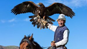 A golden eagle trainer during eagle hunter games in Issuk Kul Lake, Kyrgyzstan. Pic: Getty