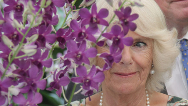 Camilla, Duchess of Cornwall had a new Dendrobium orchid named after her and Prince Charles in Singapore.