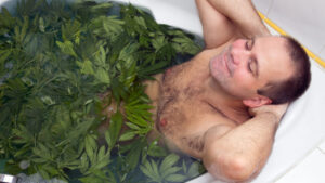 Cannabis investor EVE gains 12pc after finalising lease of pot site to Hydroponics Co