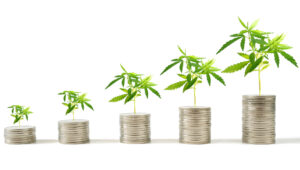 Cannabis play AusCann raises $33m for Chile pot plant