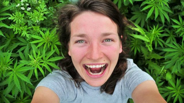 Marijuana selfie in a cannabis field. Pic: Getty