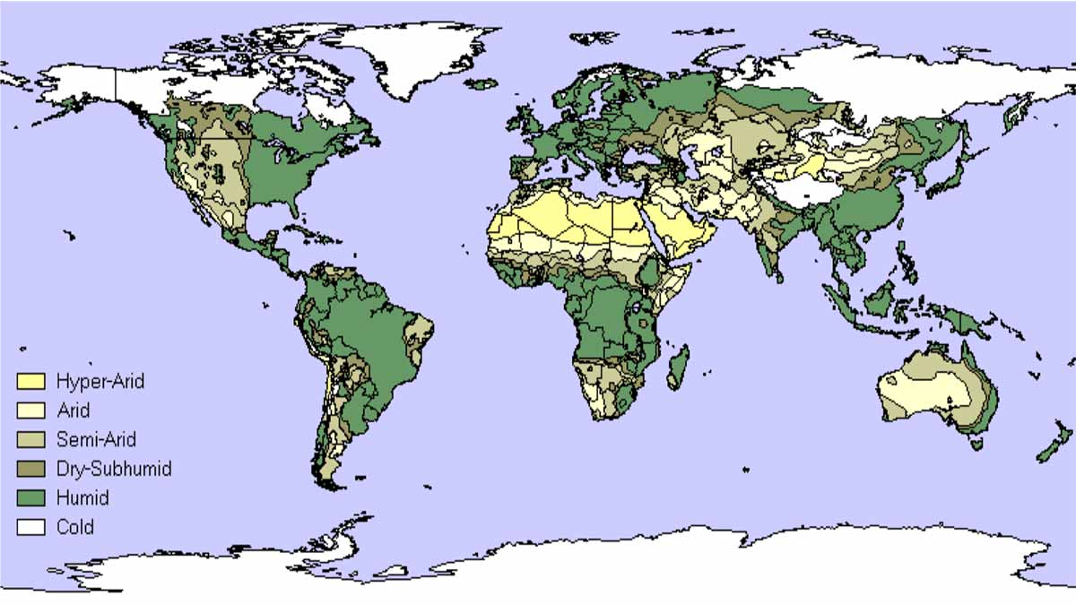 Мир влажности. Humidity Map World. Карта arid. Humid Continental climate.