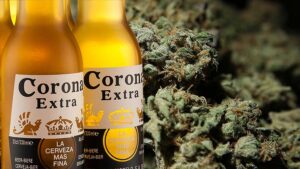 Corona maker sinks $4bn into Aussie pot stock AusCann’s biggest shareholder