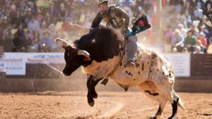 A cowboy holds on the winning ride to claim victory at the 2018 Mount Isa Rotary Rodeo yesterday. Pic: Getty