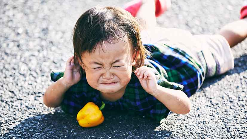 Neuren shareholders throw their toys after licensing deal; shares plummet 45pc