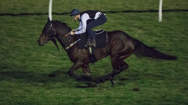 Winx getting a workout. Pic: Mark Evans/Getty
