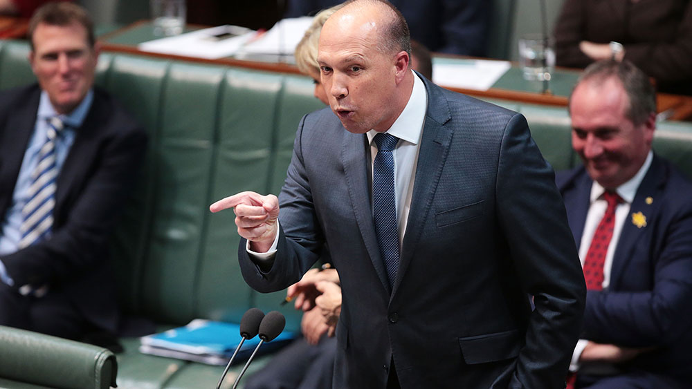 Peter Dutton in parliament. Pic: Stefan Postles / Stringer
