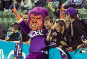 Gage Roads will pour beer and cider for Perth Glory, Western Force fans