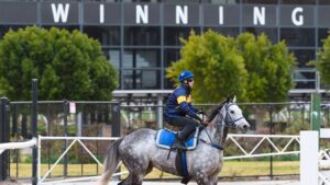 Tommy Berry riding Chautauqua after jumping successfully at this morning's barrier jumpouts at Flemington Racecourse. Pic: Vince Caligiuri / Getty
