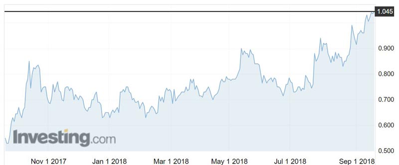 Sheffield Resources (ASX:SFX) shares over the past year.