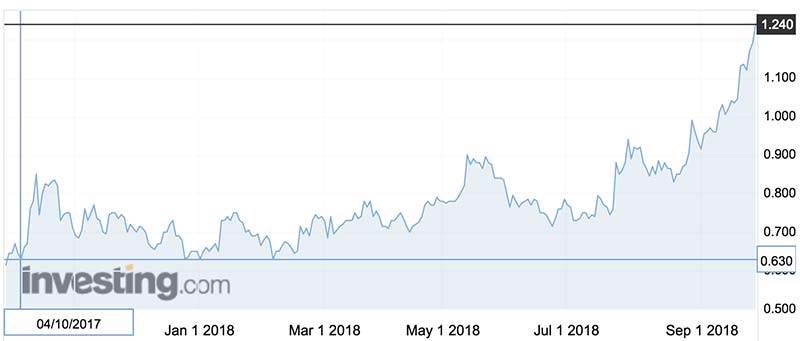 The Sheffield Resources (ASX:SFX)share price over the past year.