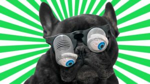 Did you see this coming? Opthea eyes good ocular trial results