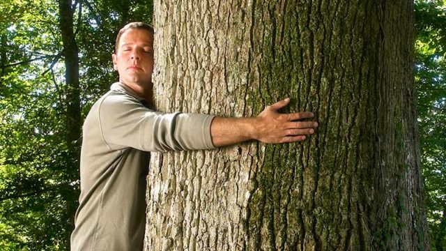 A man hugs a tree. Pic: Getty