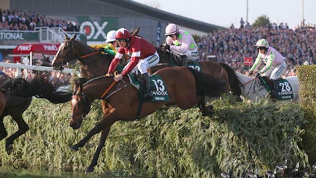 Tiger Roll at the Water Jump on its way to victory in the Grand National Handicap Steeple Chase. Pic: Getty