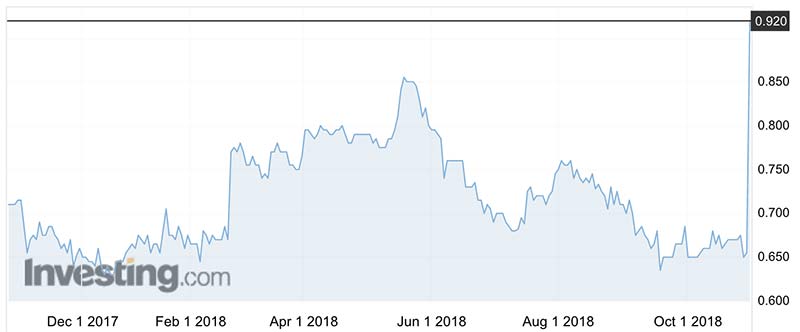 The Watpac (ASX:WTP) share price over the past year.