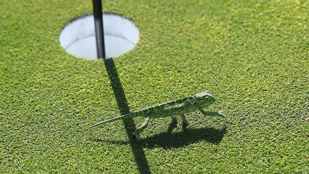 Lunchtime ASX small cap wrap: who’s going for a hole-in-one
