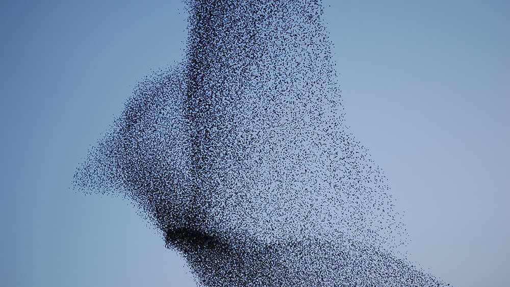 Escrow Watch: 678m shares about to flock onto the ASX