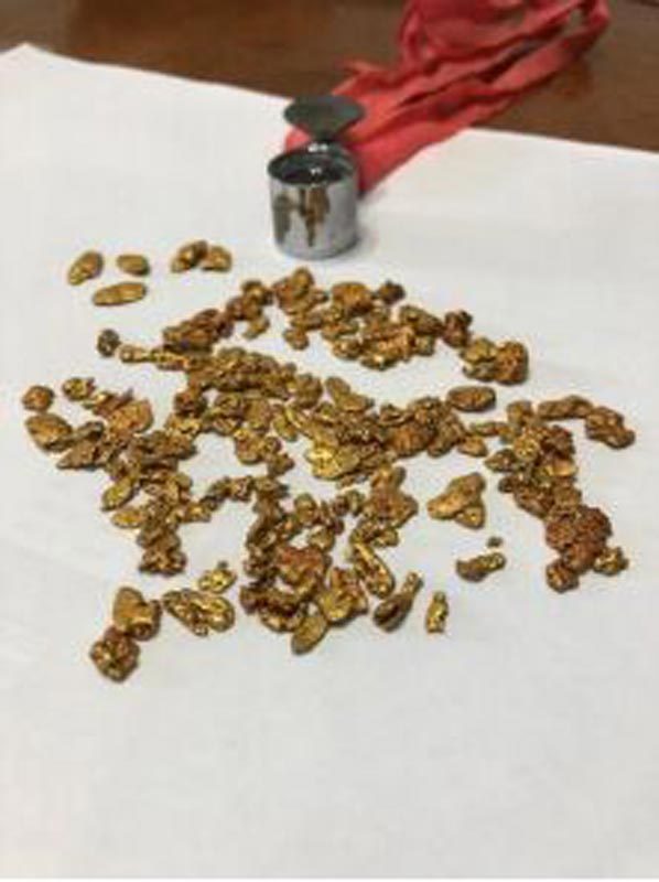 Some of the gold nuggets found by Kairos in the Pilbara. 