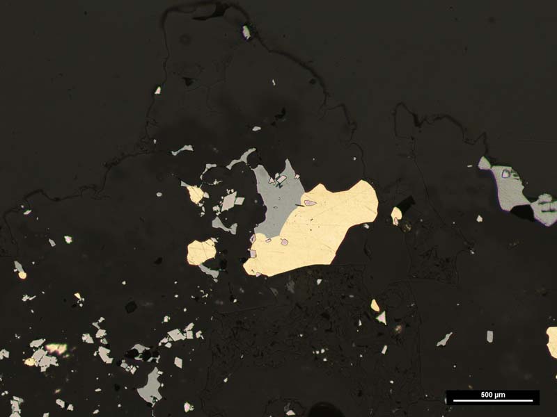 1mm diameter gold grain with galena in thin section. Pic: First Au.