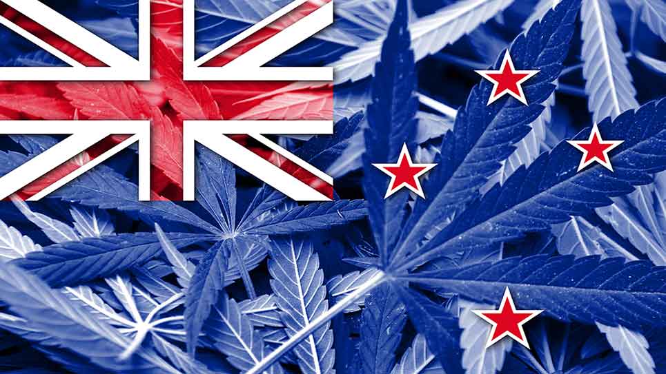 NZ has legalised medical pot, eyes off recreational too