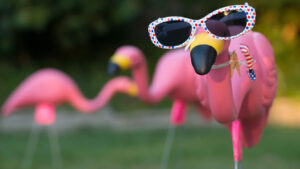 AI junior Flamingo flies 57pc after signing its first commercial deal