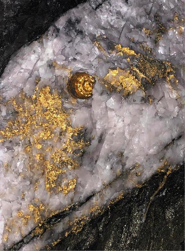 RNC Minerals found a "golden button" in one drill hole. Pic: RNC Minerals.