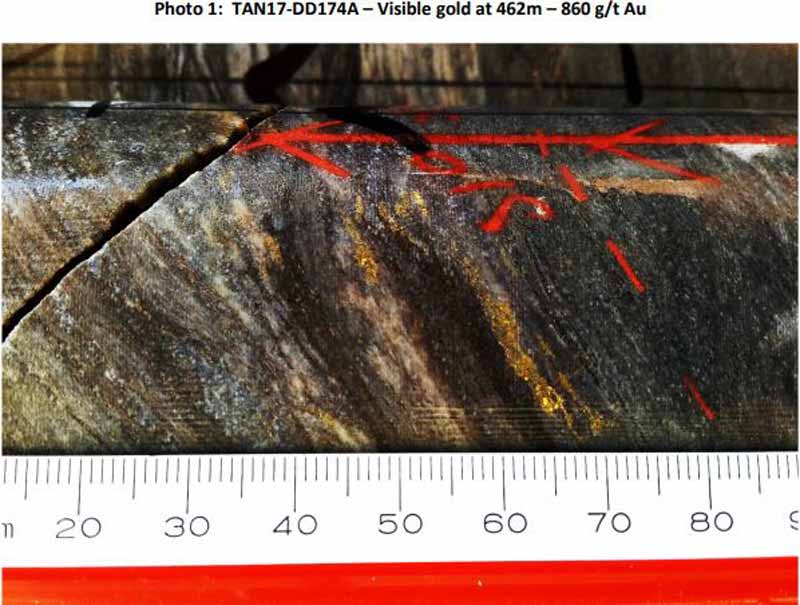 This is what 860g/t looks like in drill core. Pic: West African Resources.