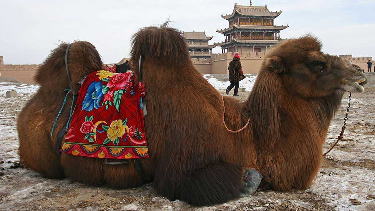 Tech: FinTech Chain has expanded to regional China