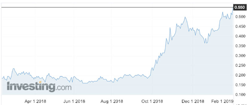 The Bellevue share price over the past 12 months.