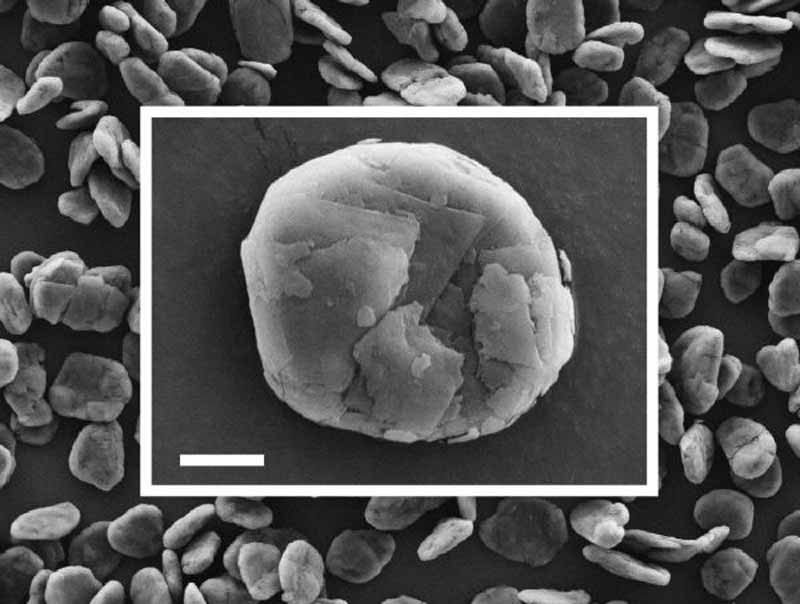 Microscopic image of spherical graphite, Archer Exploration