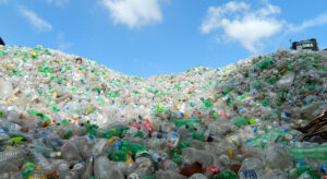 China dumps single use plastic bags