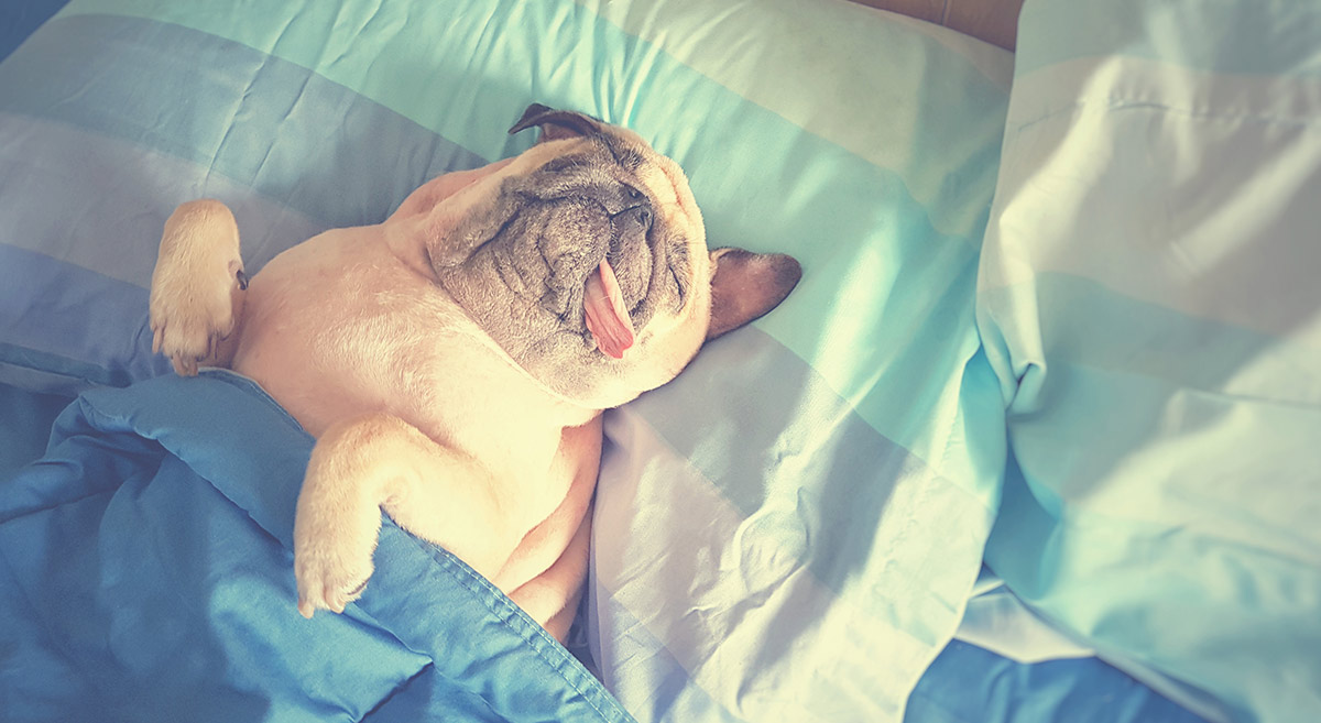 Rhinomed will explore links between poor sleep and suicide in new study